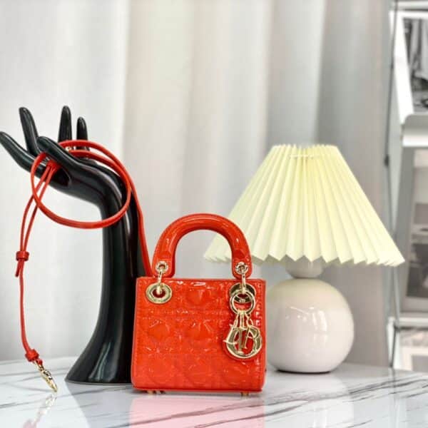 DIOR LADY MICRO BAG 1